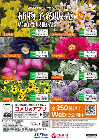 コメリのカタログ | 植物予約販売 秋号 | 2022/8/15 - 2022/10/23