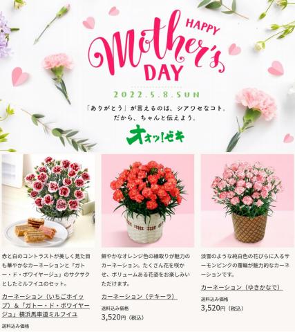 オオゼキのカタログ | Happy Mother's Day - 2022年母の日おすすめギフト特集 | 2022/3/19 - 2022/5/8
