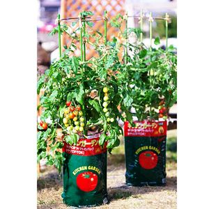 コーナンにおける￥1078でのキッチンガーデン　トマト用培養土 トマトの土 １５Ｌのオファー
