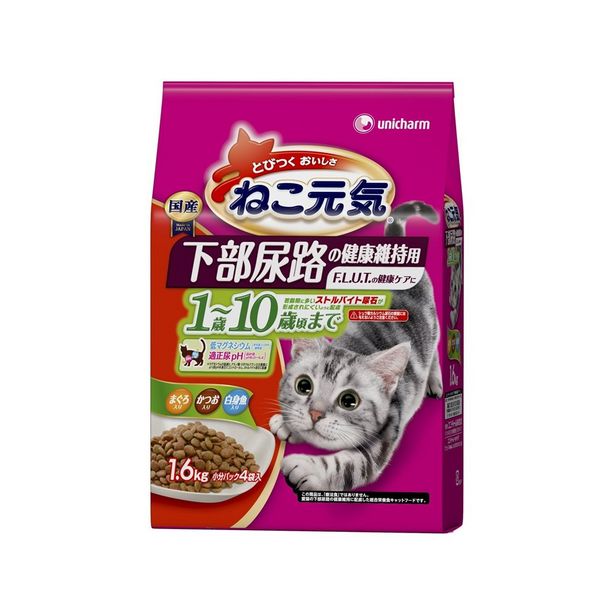 コ ナン川口前川店 埼玉県川口市南前川1丁目16番7号 川口市 今週のチラシと営業時間